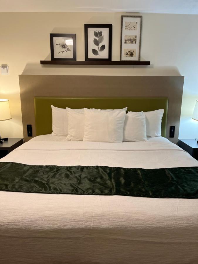 Pictured Rocks Inn And Suites ミューニシング エクステリア 写真